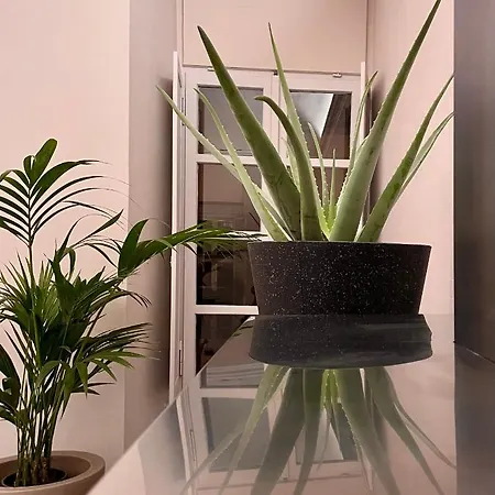 R21b&b Torinoquadrilatero Appartement