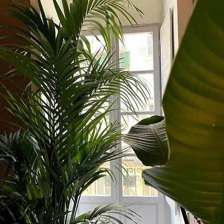 R21b&b Torinoquadrilatero Appartement