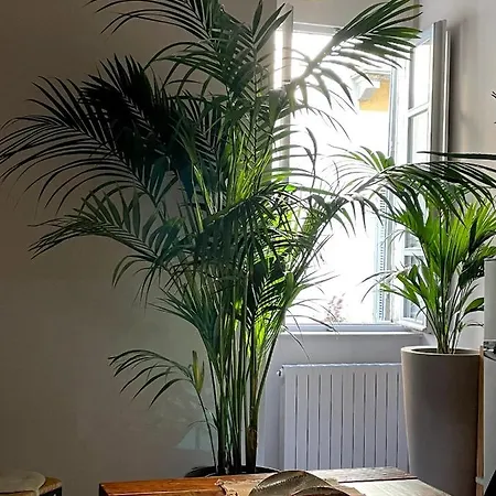 Appartement R21b&b Torinoquadrilatero *